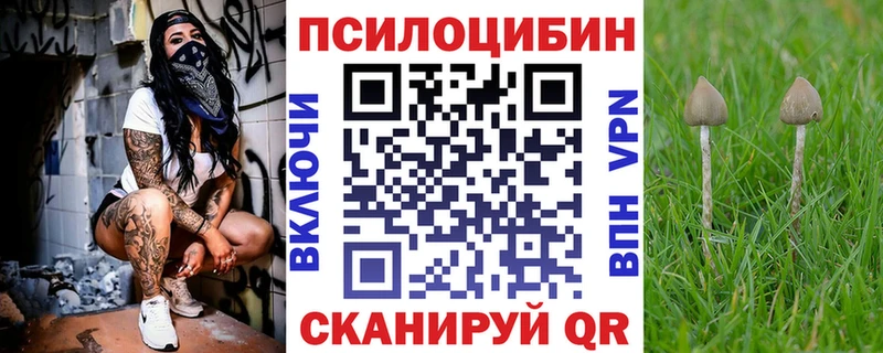 Псилоцибиновые грибы Cubensis  даркнет сайт  гидра маркетплейс  Невель 